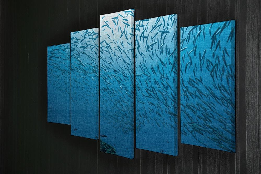 Flock of fish flowing 5 Split Panel Canvas  - Canvas Art Rocks - 2