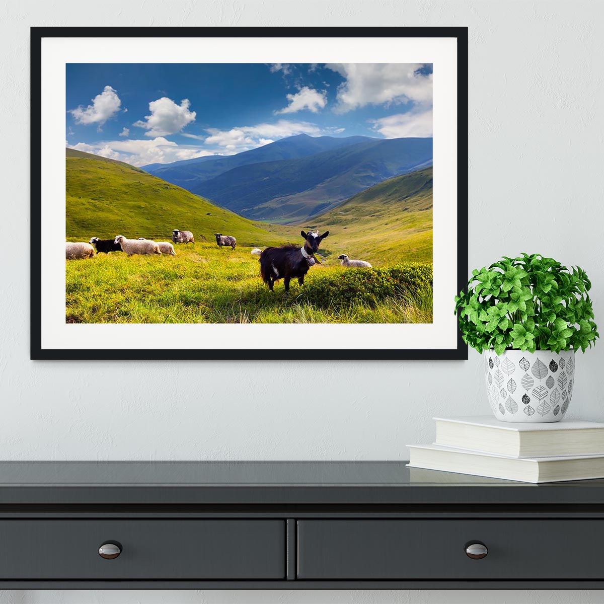 Flock of sheep and goat in the mountains Framed Print - Canvas Art Rocks - 1