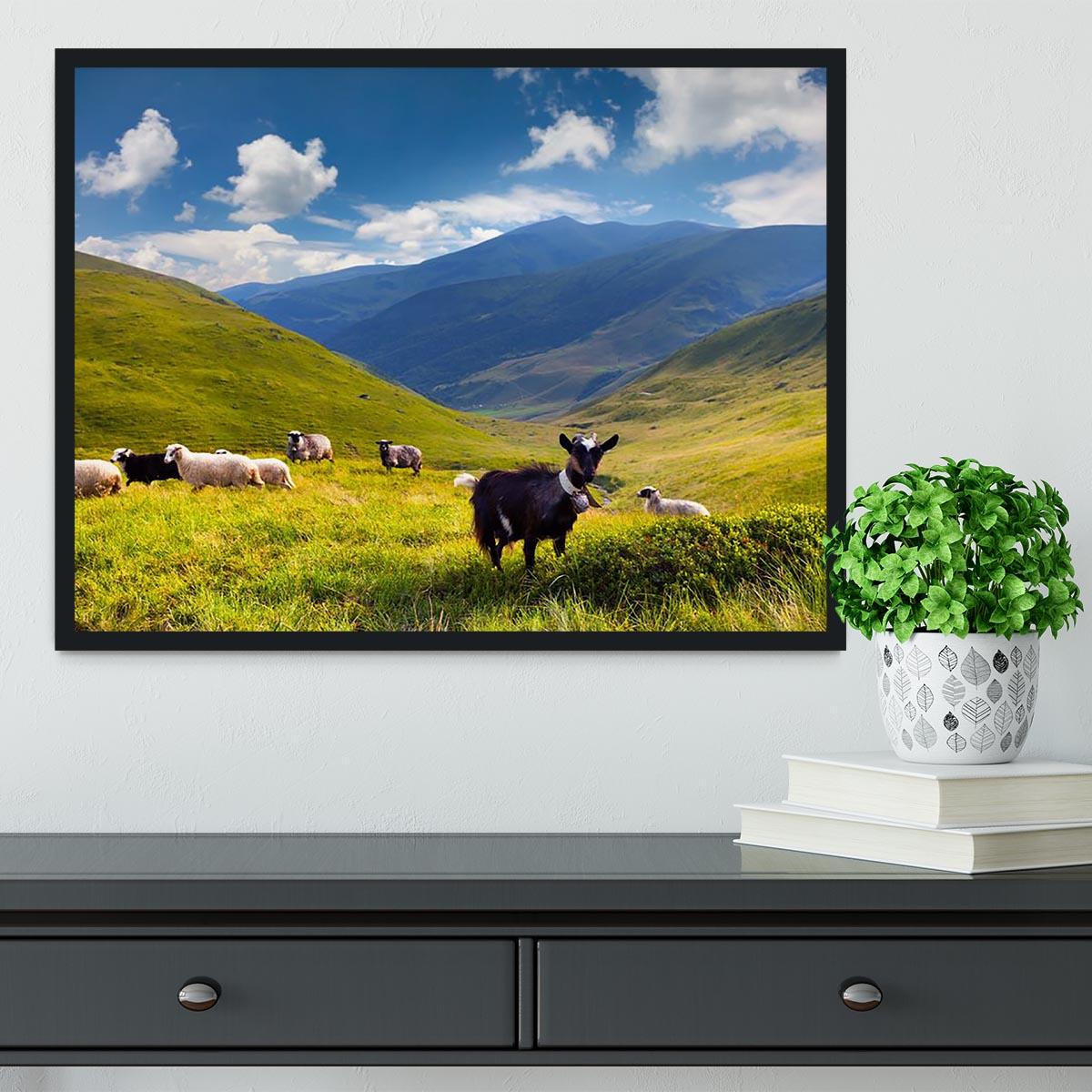 Flock of sheep and goat in the mountains Framed Print - Canvas Art Rocks - 2