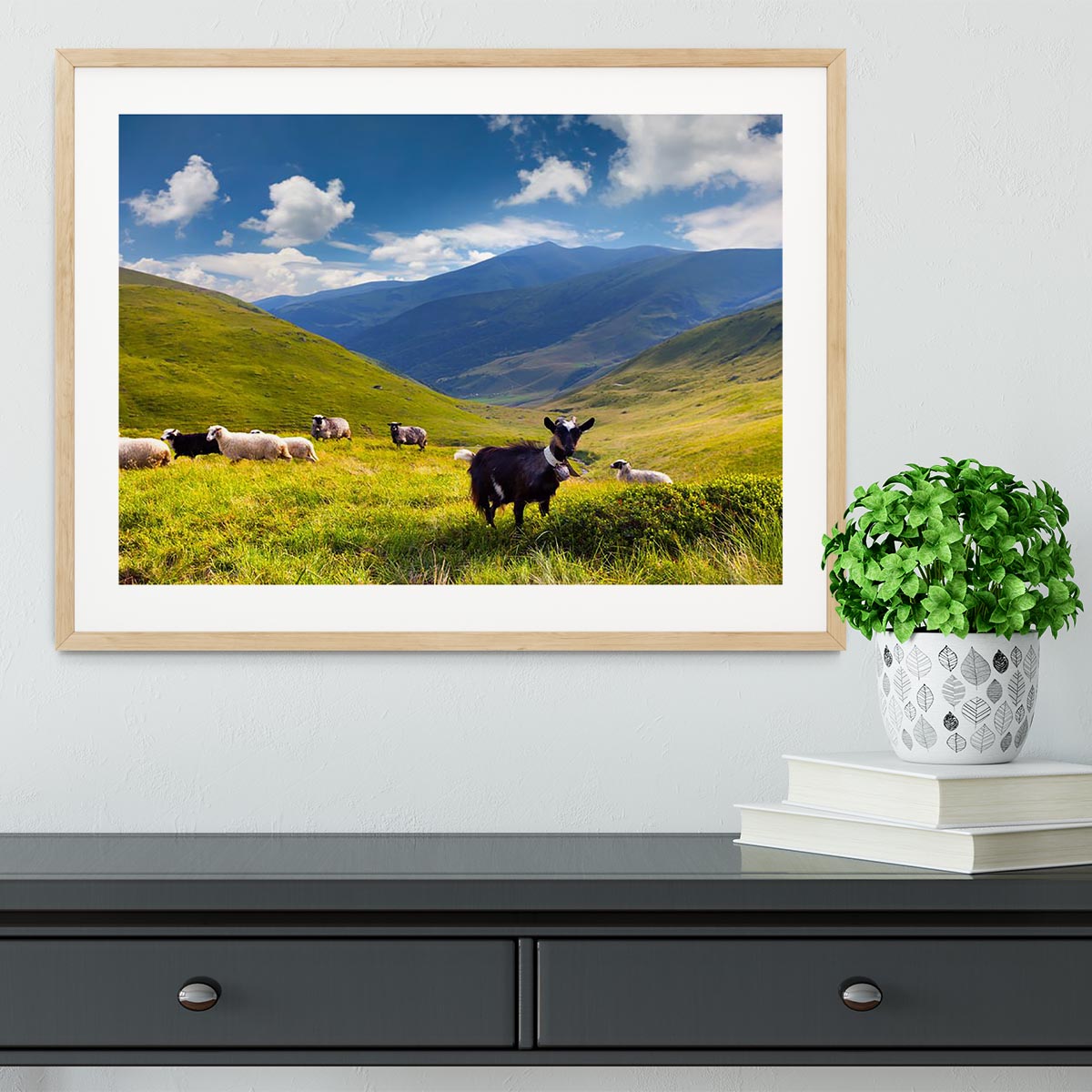 Flock of sheep and goat in the mountains Framed Print - Canvas Art Rocks - 3