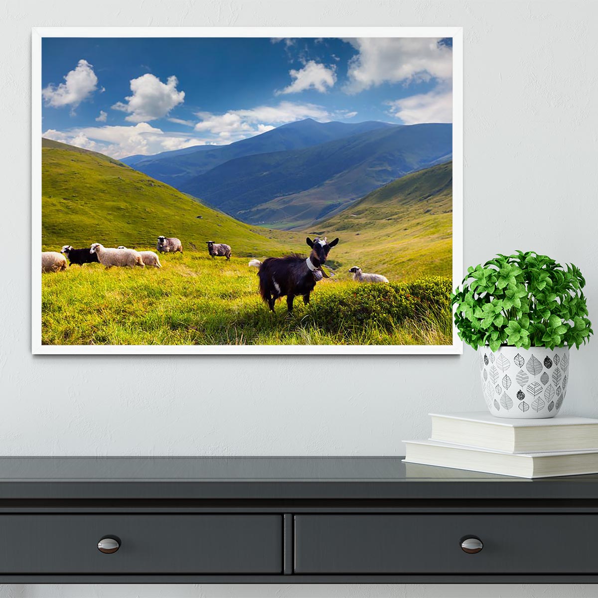 Flock of sheep and goat in the mountains Framed Print - Canvas Art Rocks -6