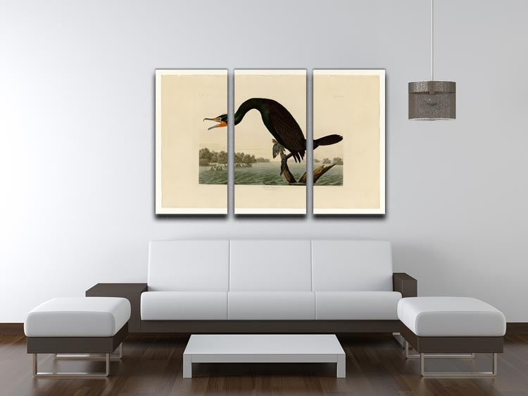 Florida Cormorant by Audubon 3 Split Panel Canvas Print - Canvas Art Rocks - 3