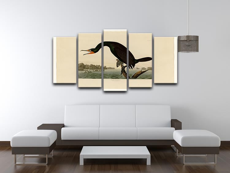 Florida Cormorant by Audubon 5 Split Panel Canvas - Canvas Art Rocks - 3
