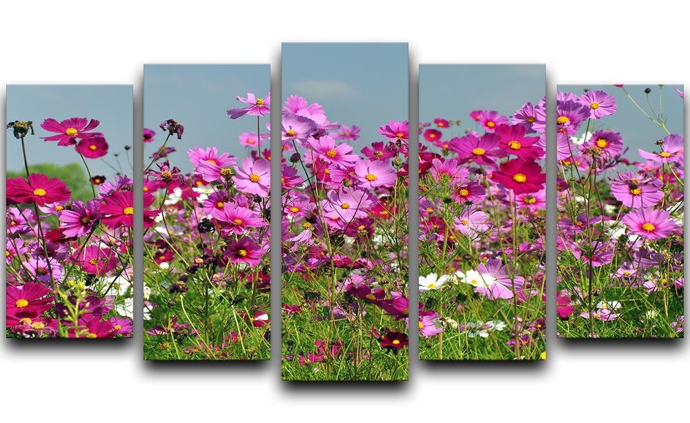 Flower field with blue sky 5 Split Panel Canvas  - Canvas Art Rocks - 1