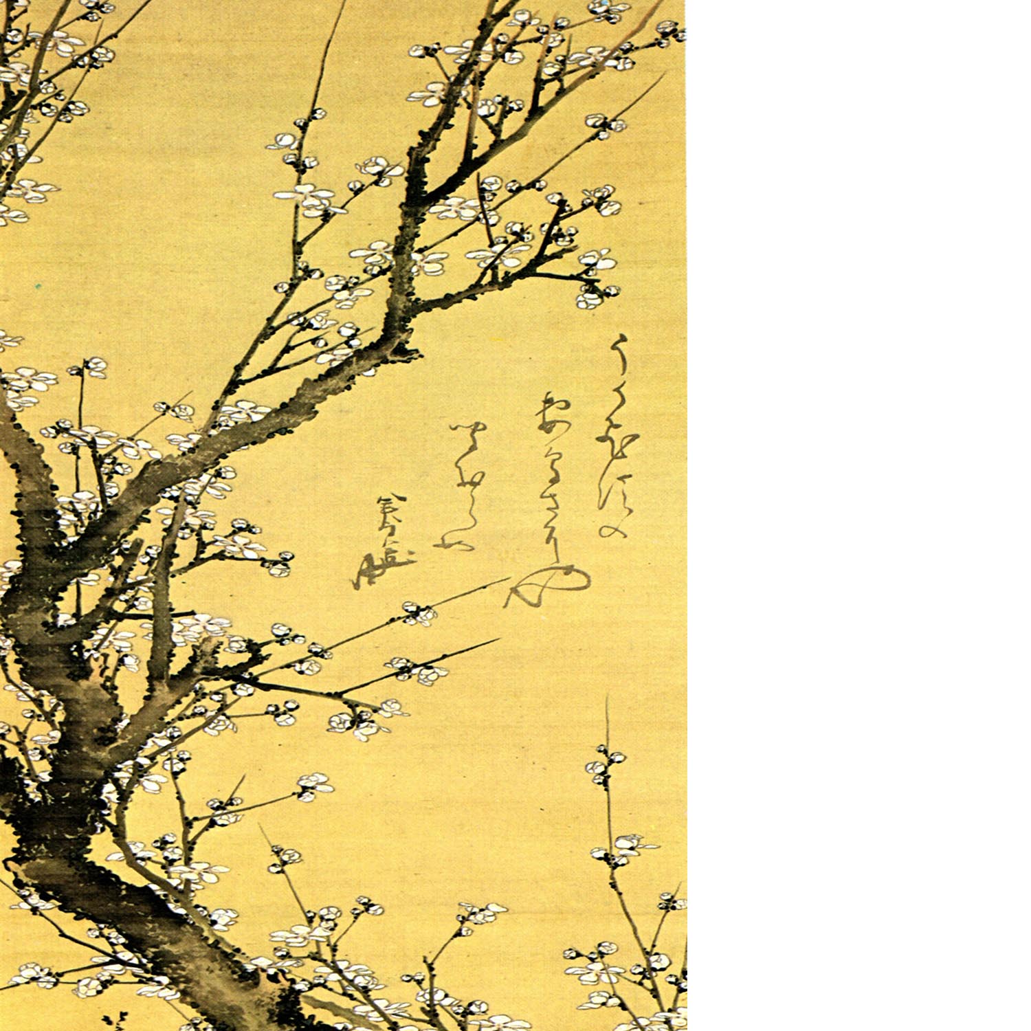 Flowering plum by Hokusai Floating Framed Canvas