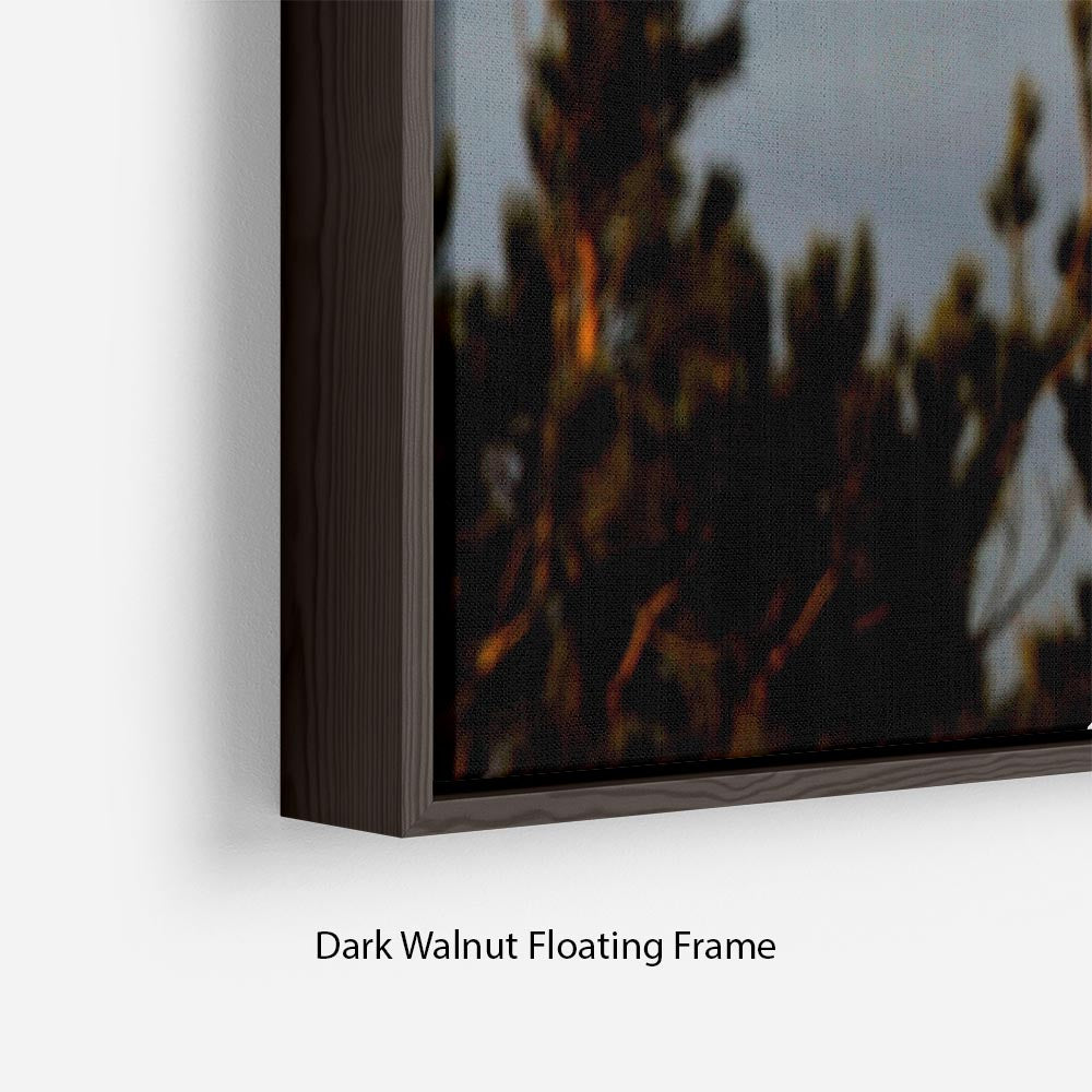 Fog at Jodrell Bank Floating Frame Canvas - Canvas Art Rocks - 6