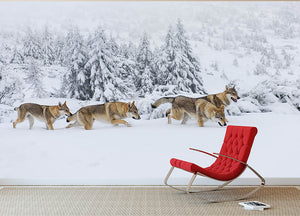 Four wolves in fresh snow in the mountains Wall Mural Wallpaper - Canvas Art Rocks - 2