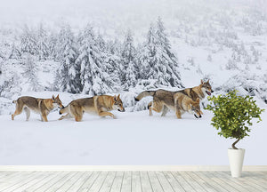 Four wolves in fresh snow in the mountains Wall Mural Wallpaper - Canvas Art Rocks - 4