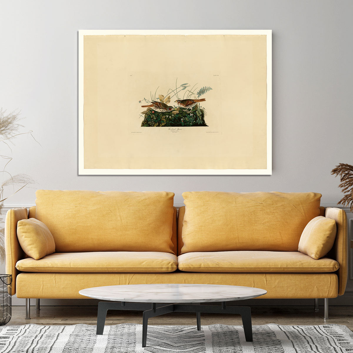 Fox coloured Sparrow by Audubon Canvas Print or Poster - Canvas Art Rocks - 4