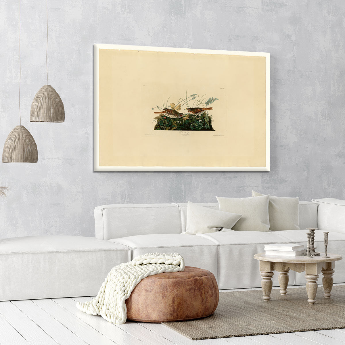 Fox coloured Sparrow by Audubon Canvas Print or Poster - Canvas Art Rocks - 6