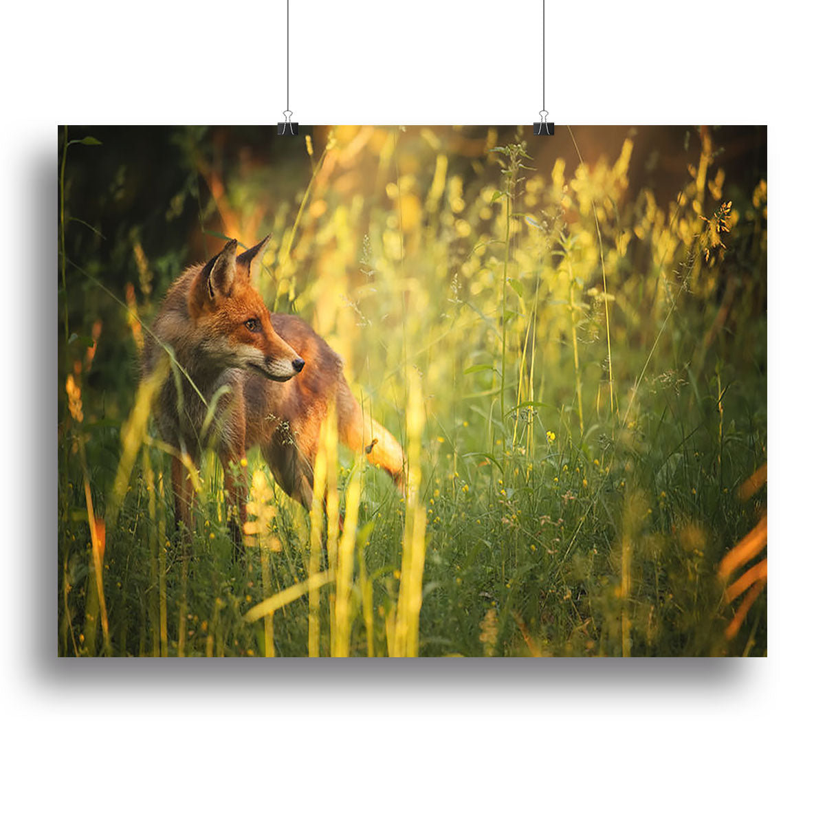 Fox on the summer forest Canvas Print or Poster - Canvas Art Rocks - 2