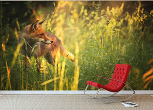 Fox on the summer forest Wall Mural Wallpaper - Canvas Art Rocks - 2