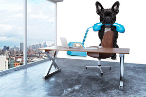 French bulldog dog on the phone or telephone in mouth Wall Mural Wallpaper - Canvas Art Rocks - 3