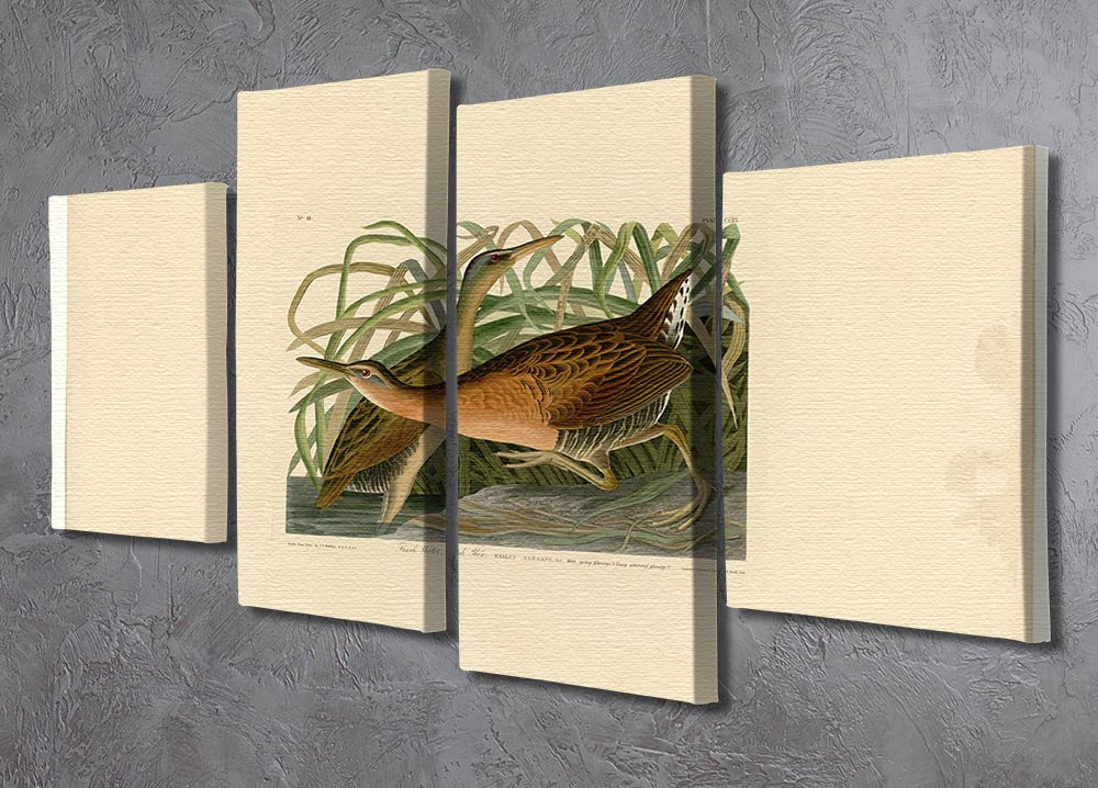 Fresh Water Marsh Hen by Audubon 4 Split Panel Canvas - Canvas Art Rocks - 2
