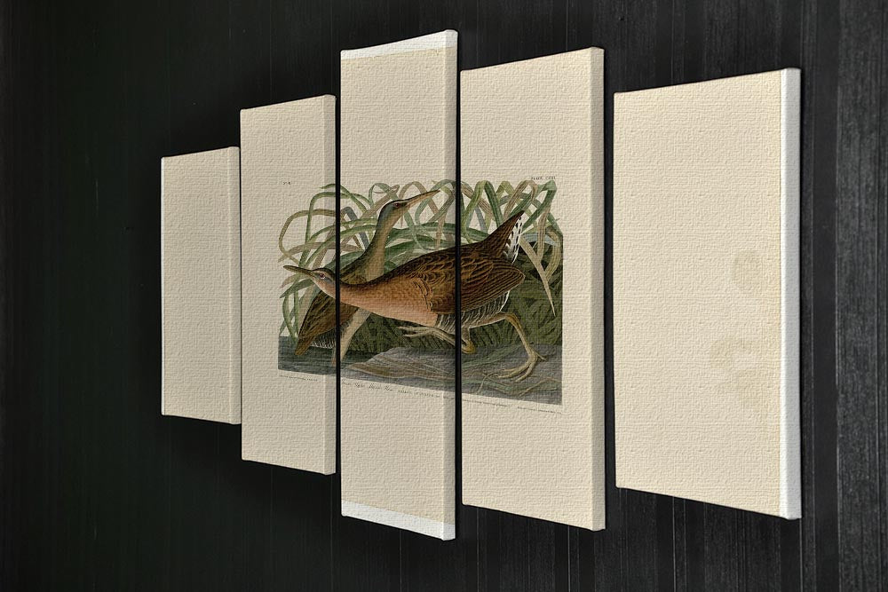 Fresh Water Marsh Hen by Audubon 5 Split Panel Canvas - Canvas Art Rocks - 2