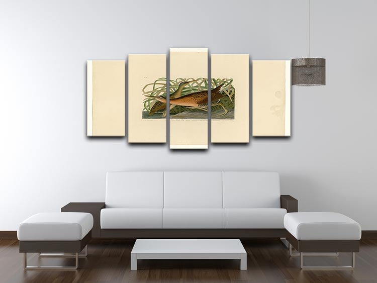 Fresh Water Marsh Hen by Audubon 5 Split Panel Canvas - Canvas Art Rocks - 3
