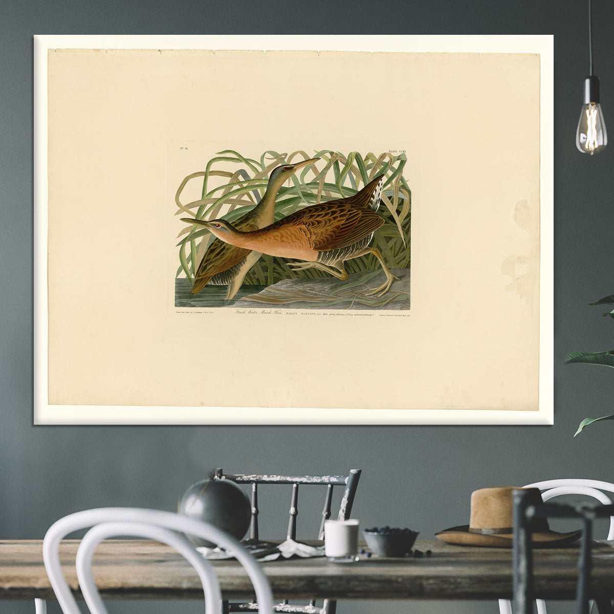 Fresh Water Marsh Hen by Audubon Canvas Print or Poster - Canvas Art Rocks - 3