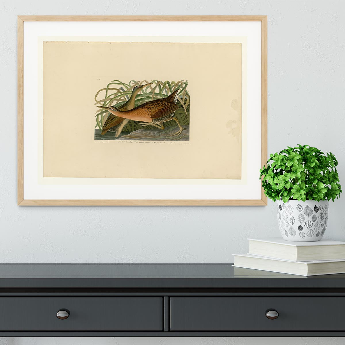 Fresh Water Marsh Hen by Audubon Framed Print - Canvas Art Rocks - 3