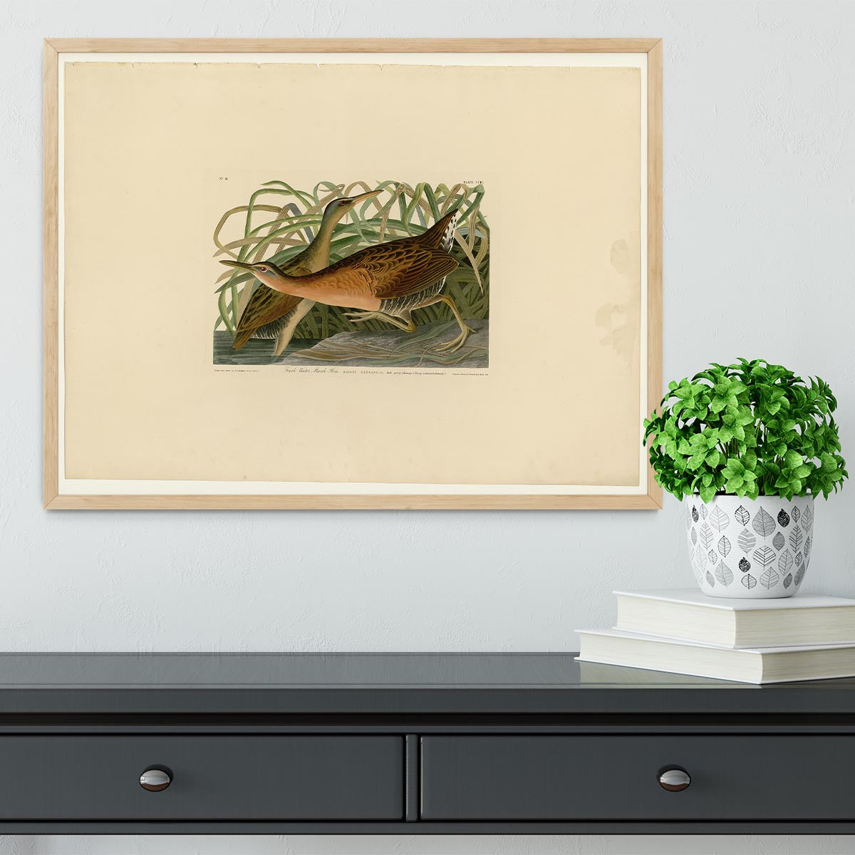 Fresh Water Marsh Hen by Audubon Framed Print - Canvas Art Rocks - 4