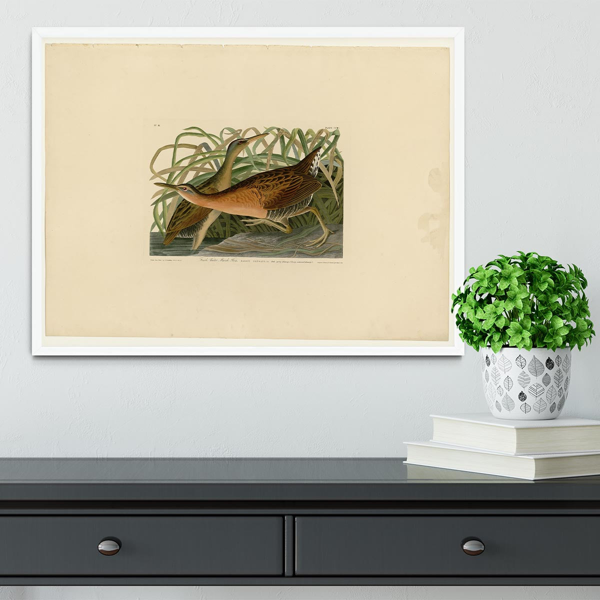 Fresh Water Marsh Hen by Audubon Framed Print - Canvas Art Rocks -6