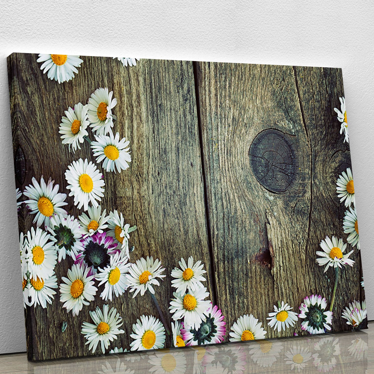 Fresh daisies on wood Canvas Print or Poster - Canvas Art Rocks - 1