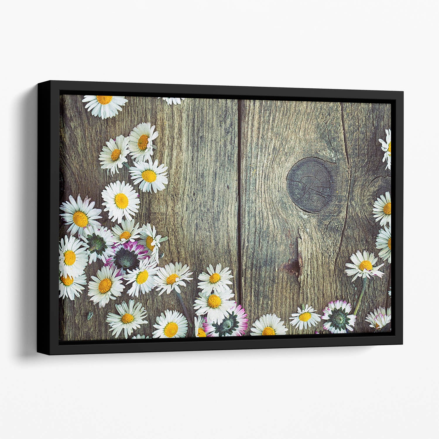 Fresh daisies on wood Floating Framed Canvas