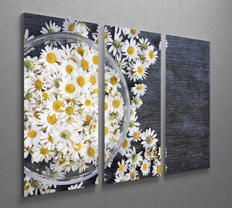 Fresh medicinal roman chamomile flower 3 Split Panel Canvas Print - Canvas Art Rocks - 2
