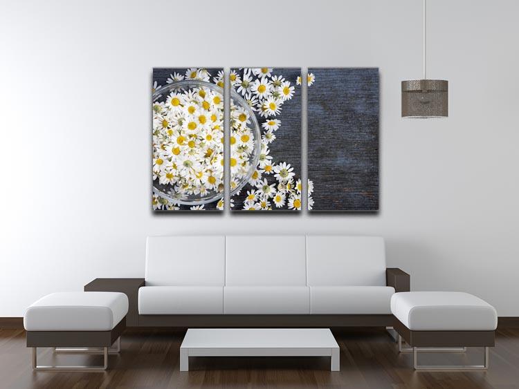 Fresh medicinal roman chamomile flower 3 Split Panel Canvas Print - Canvas Art Rocks - 3
