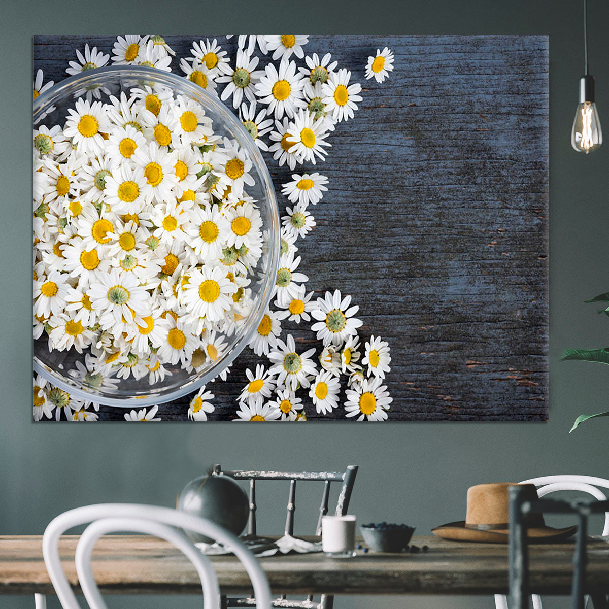 Fresh medicinal roman chamomile flower Canvas Print or Poster - Canvas Art Rocks - 3