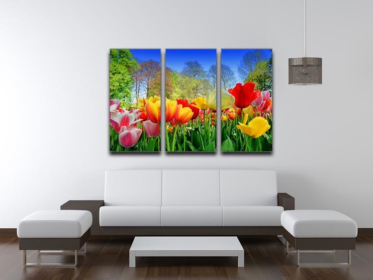 Fresh multicolored tulips in a spring park 3 Split Panel Canvas Print - Canvas Art Rocks - 3
