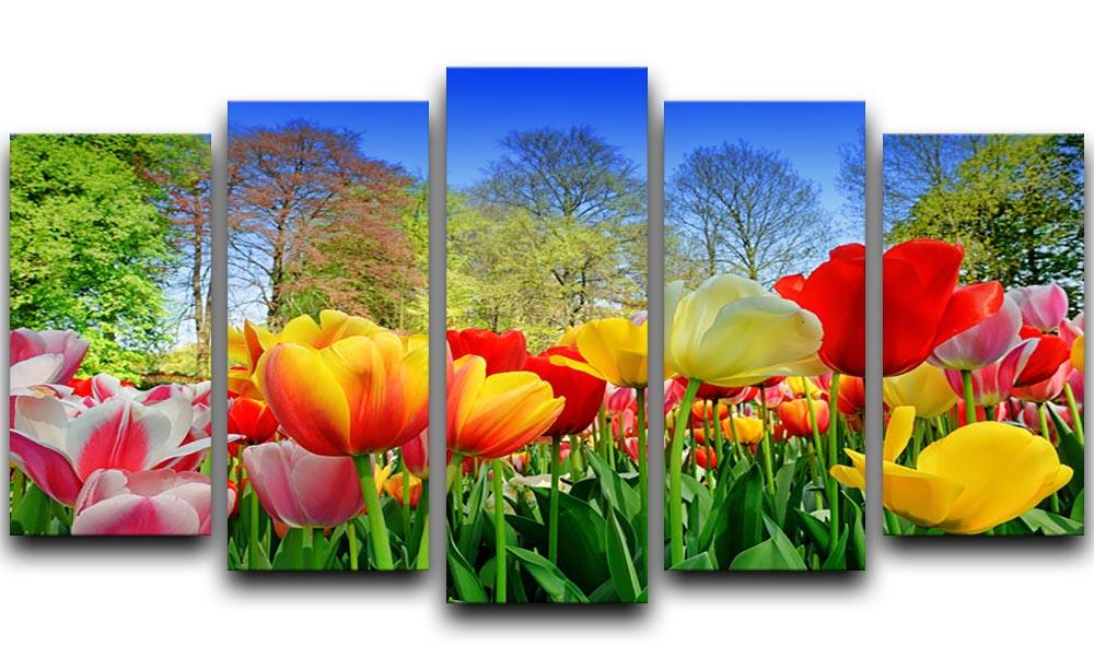 Fresh multicolored tulips in a spring park 5 Split Panel Canvas  - Canvas Art Rocks - 1