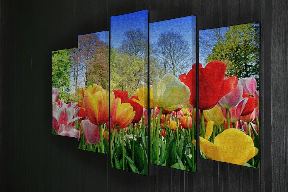 Fresh multicolored tulips in a spring park 5 Split Panel Canvas  - Canvas Art Rocks - 2