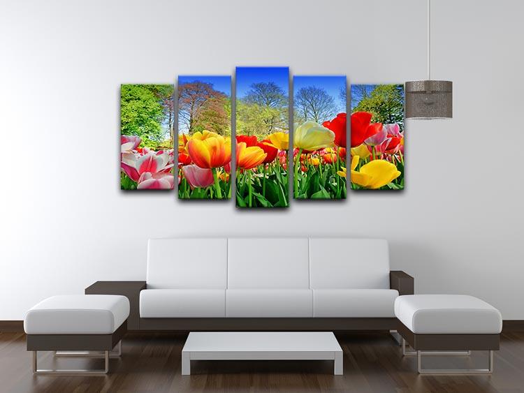 Fresh multicolored tulips in a spring park 5 Split Panel Canvas  - Canvas Art Rocks - 3