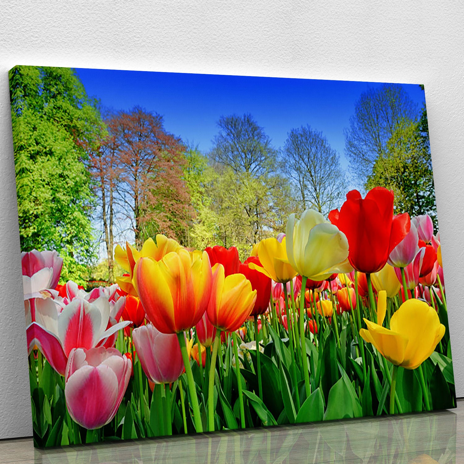 Fresh multicolored tulips in a spring park Canvas Print or Poster - Canvas Art Rocks - 1