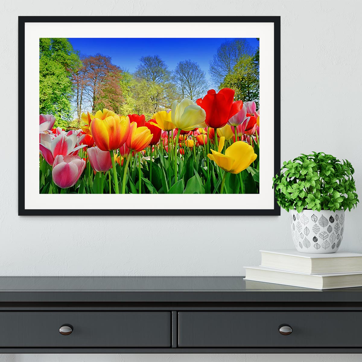 Fresh multicolored tulips in a spring park Framed Print - Canvas Art Rocks - 1