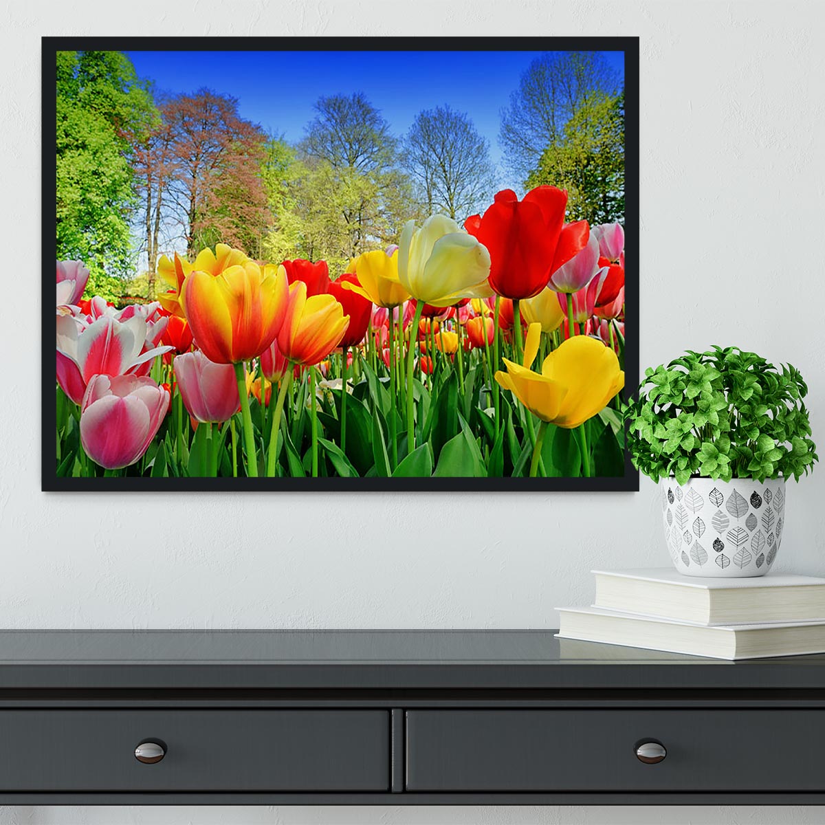 Fresh multicolored tulips in a spring park Framed Print - Canvas Art Rocks - 2