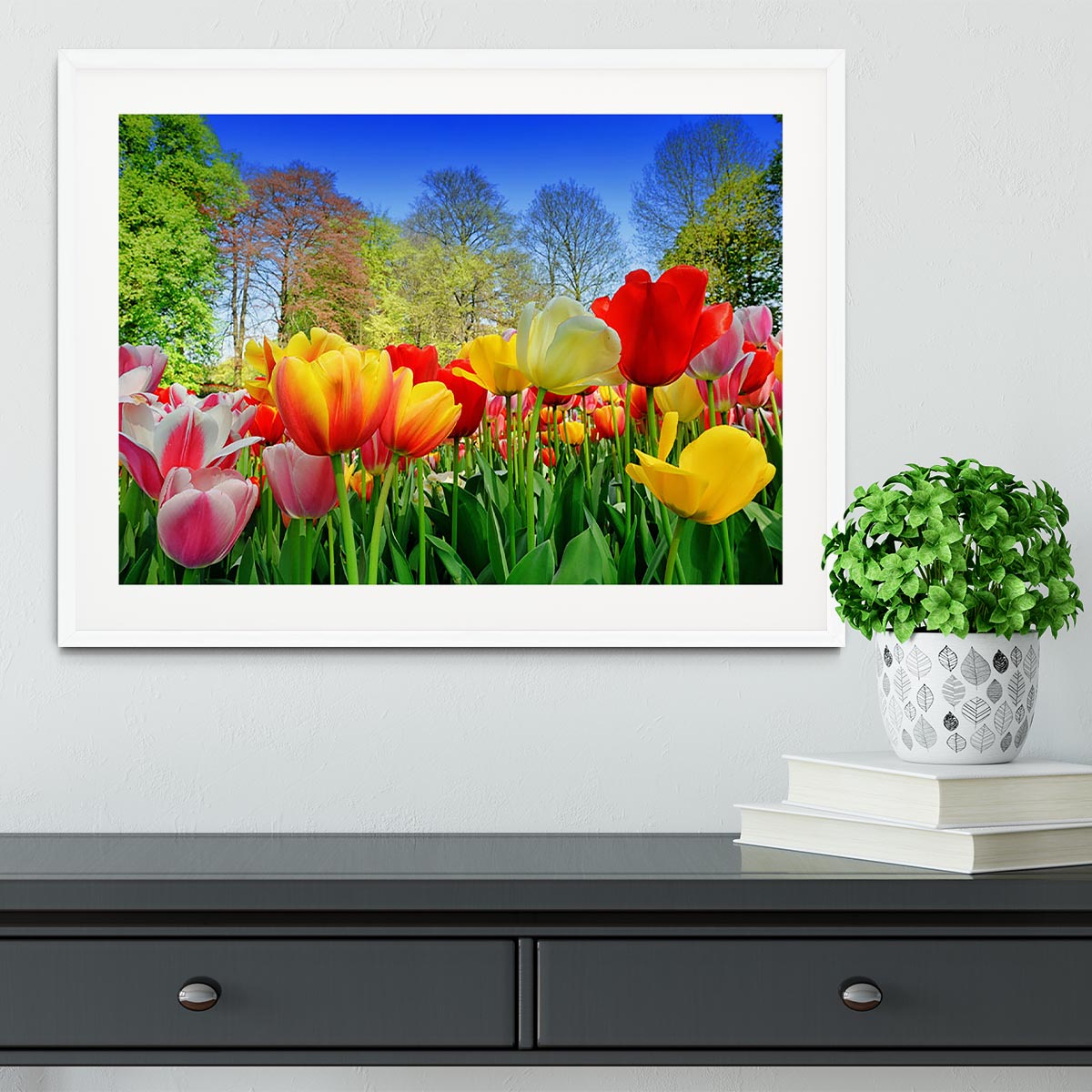 Fresh multicolored tulips in a spring park Framed Print - Canvas Art Rocks - 5