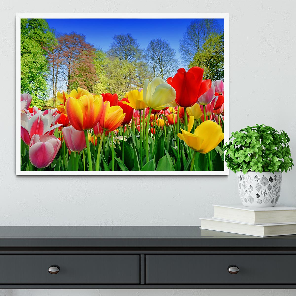Fresh multicolored tulips in a spring park Framed Print - Canvas Art Rocks -6