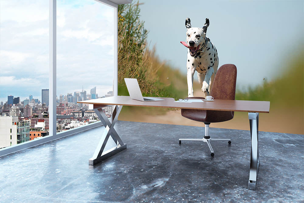 Front View of Exuberant Dalmatian Dog Running Wall Mural Wallpaper - Canvas Art Rocks - 3