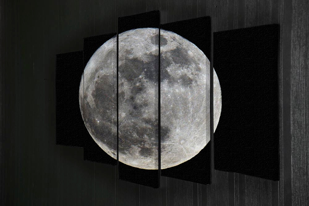 Full Moon 5 Split Panel Canvas - Canvas Art Rocks - 2