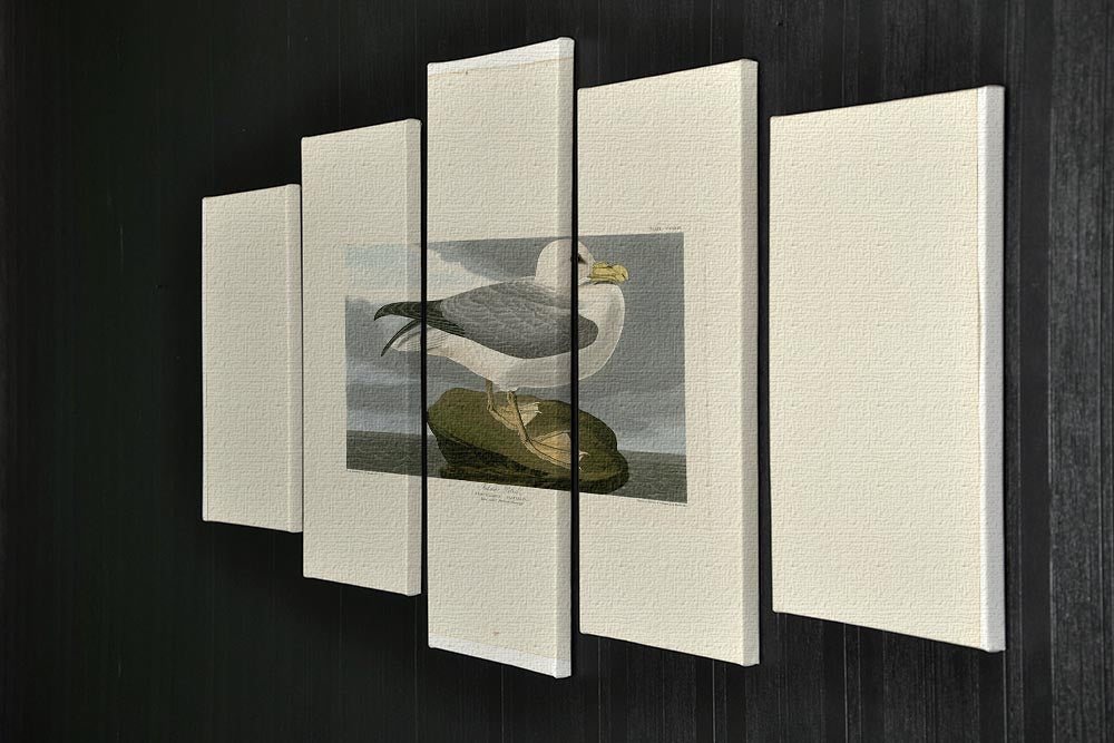 Fulmar Petrel by Audubon 5 Split Panel Canvas - Canvas Art Rocks - 2