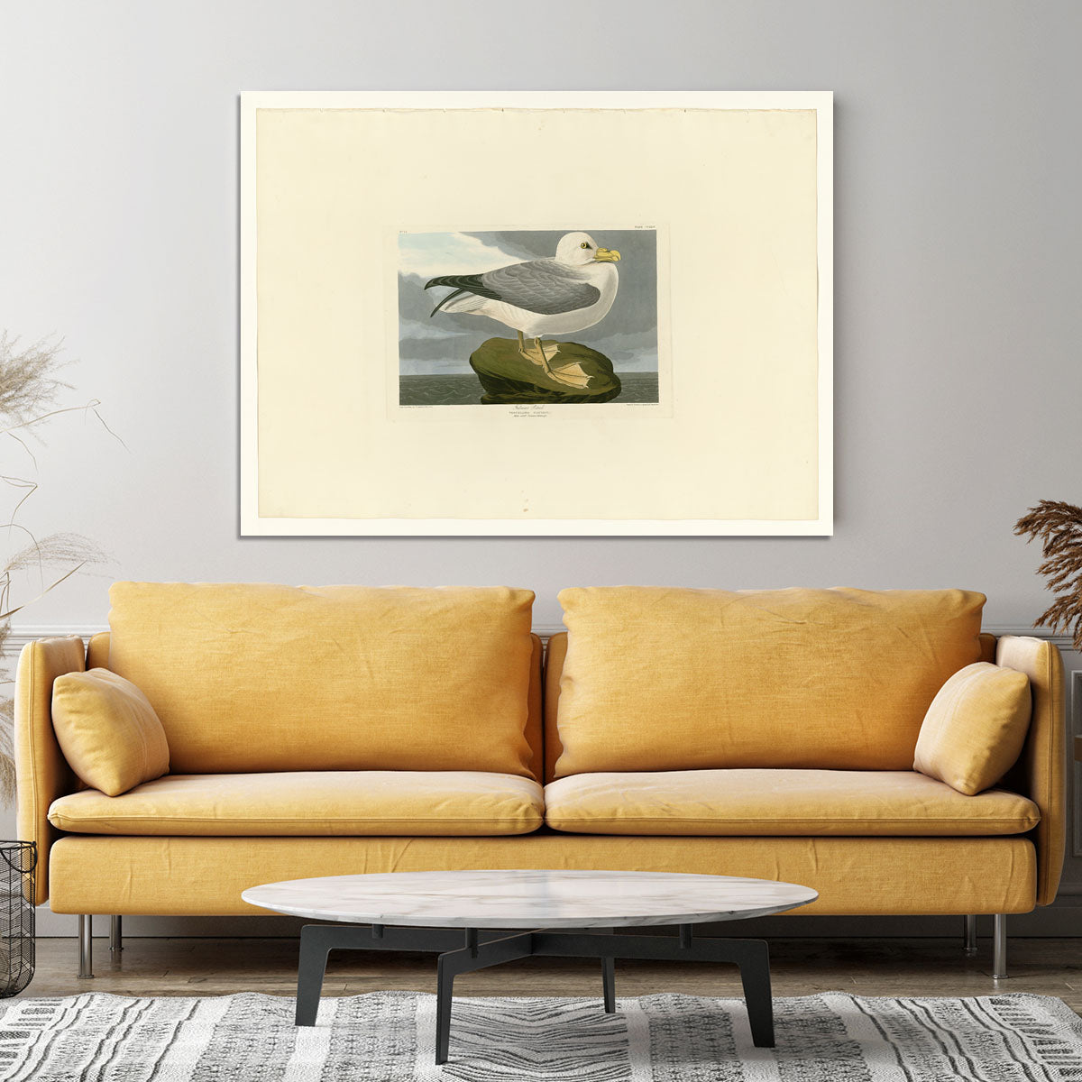 Fulmar Petrel by Audubon Canvas Print or Poster - Canvas Art Rocks - 4