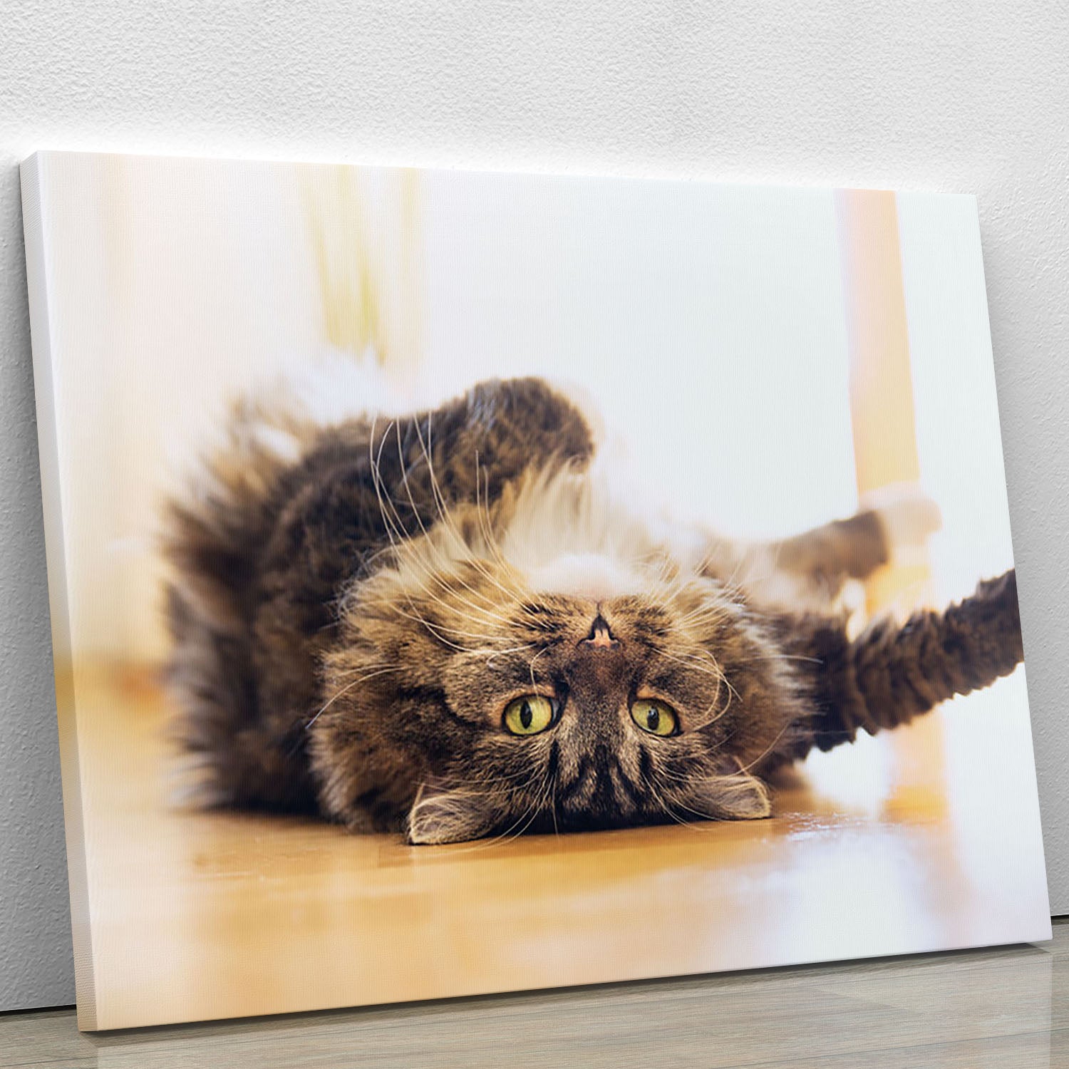 Funny cat is lying relaxed on his back Canvas Print or Poster - Canvas Art Rocks - 1