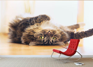 Funny cat is lying relaxed on his back Wall Mural Wallpaper - Canvas Art Rocks - 2