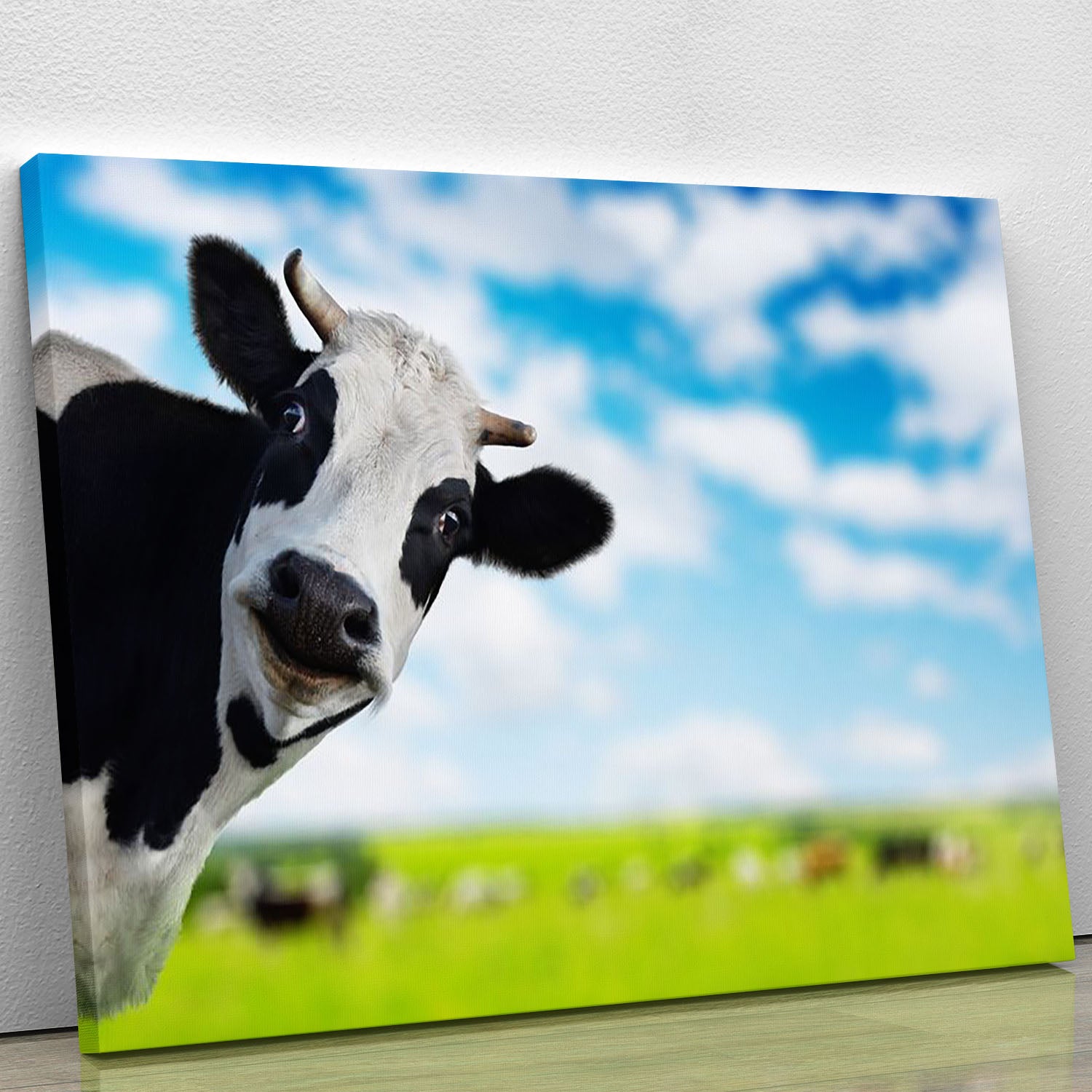 Funny cow looking at a camera Canvas Print or Poster - Canvas Art Rocks - 1