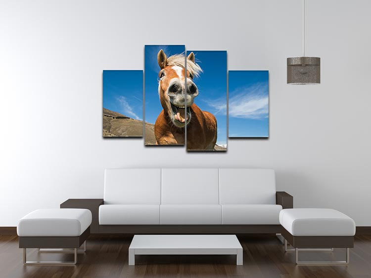 Funny shot of horse with crazy expression 4 Split Panel Canvas - Canvas Art Rocks - 3