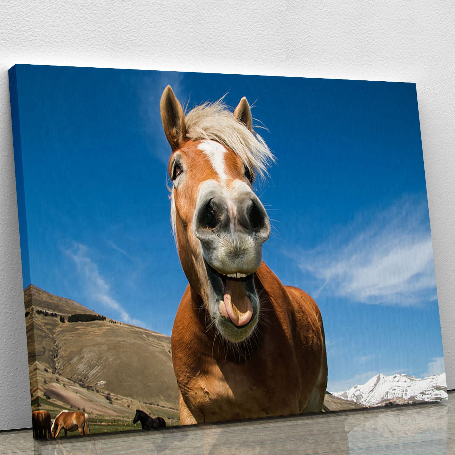 Funny shot of horse with crazy expression Canvas Print or Poster - Canvas Art Rocks - 1