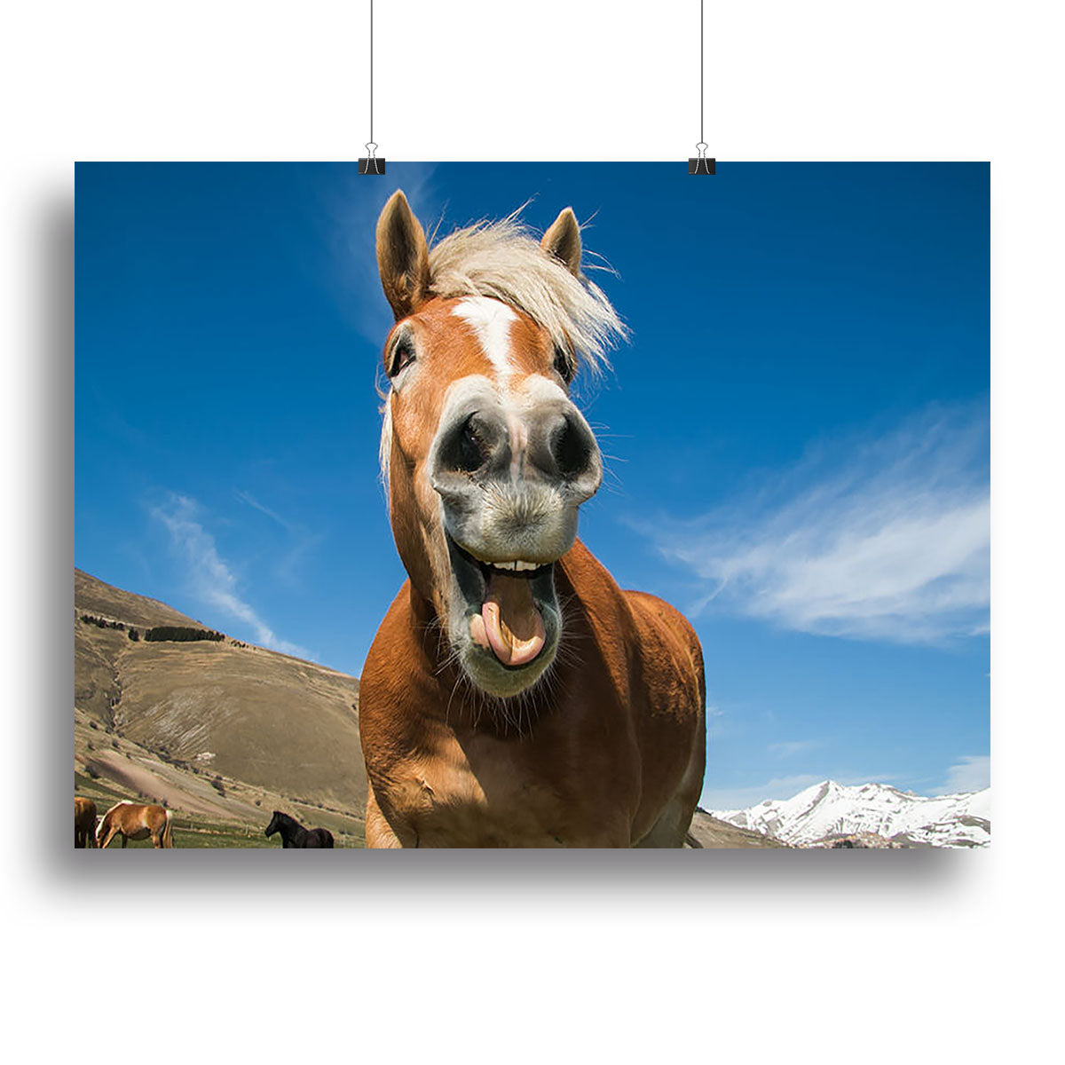 Funny shot of horse with crazy expression Canvas Print or Poster - Canvas Art Rocks - 2