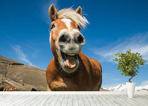 Funny shot of horse with crazy expression Wall Mural Wallpaper - Canvas Art Rocks - 4