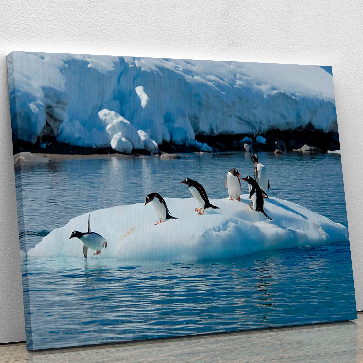 Gentoo Penguin playtime Canvas Print or Poster - Canvas Art Rocks - 1